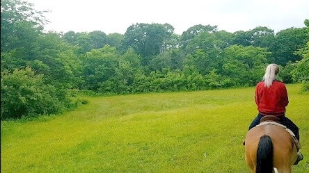 Конная прогулка для двоих во Владивостоке. Подарочные сертификаты Ultra Подарки. Купить оригинальный подарок или подарочный сертификат на Конную прогулка для двоих во Владивостоке. Сервис UltraPodarki.ru 8-800-505-9530. Катание на лошадях, Прогулка на лошади, Прогулка на лошадях для двоих, кони, конный клуб, конный клуб АРГО, конная прогулка, конная прогулка во Владивостоке