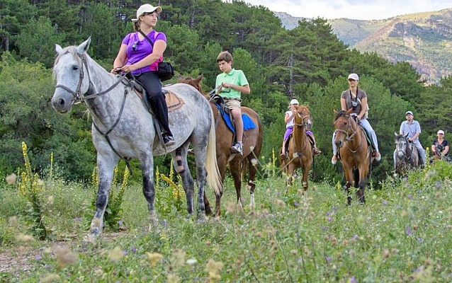 Конная прогулка во Владивостоке. Подарочные сертификаты Ultra Подарки. Купить оригинальный подарок или подарочный сертификат на Конная прогулка во Владивостоке. Сервис UltraPodarki.ru 8-800-505-9530. Катание на лошадях, Прогулка на лошади, Прогулка на лошадях для двоих, Конная прогулка, конный клуб, Конный клуб АРГО, конная прогулка, конная прогулка во Владивостоке