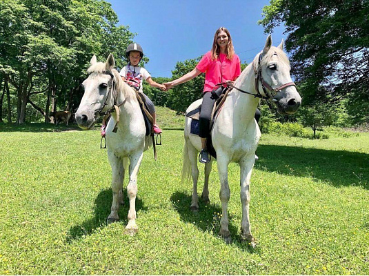 Конная прогулка во Владивостоке. Подарочные сертификаты Ultra Подарки. Купить оригинальный подарок или подарочный сертификат на Конная прогулка во Владивостоке. Сервис UltraPodarki.ru 8-800-505-9530. Катание на лошадях, Прогулка на лошади, Прогулка на лошадях для двоих, Конная прогулка, конный клуб, Конный клуб АРГО, конная прогулка, конная прогулка во Владивостоке