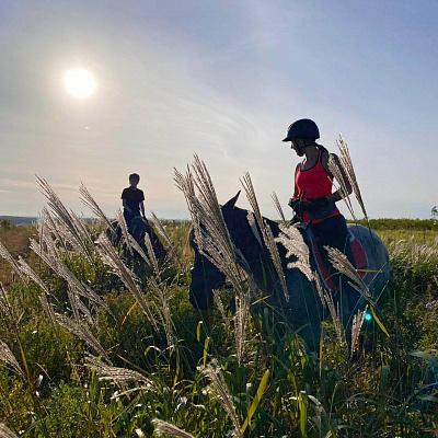 Конная прогулка для двоих во Владивостоке. Подарочные сертификаты Ultra Подарки. Купить оригинальный подарок или подарочный сертификат на Конную прогулка для двоих во Владивостоке. Сервис UltraPodarki.ru 8-800-505-9530. Катание на лошадях, Прогулка на лошади, Прогулка на лошадях для двоих, кони, конный клуб, конный клуб АРГО, конная прогулка, конная прогулка во Владивостоке