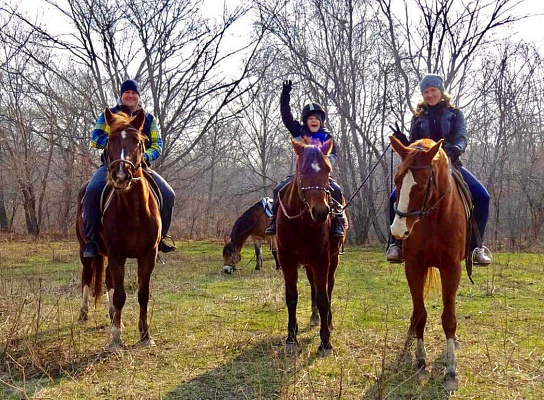 Конная прогулка во Владивостоке. Подарочные сертификаты Ultra Подарки. Купить оригинальный подарок или подарочный сертификат на Конная прогулка во Владивостоке. Сервис UltraPodarki.ru 8-800-505-9530. Катание на лошадях, Прогулка на лошади, Прогулка на лошадях для двоих, Конная прогулка, конный клуб, Конный клуб АРГО, конная прогулка, конная прогулка во Владивостоке