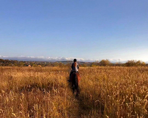 Конная прогулка во Владивостоке. Подарочные сертификаты Ultra Подарки. Купить оригинальный подарок или подарочный сертификат на Конная прогулка во Владивостоке. Сервис UltraPodarki.ru 8-800-505-9530. Катание на лошадях, Прогулка на лошади, Прогулка на лошадях для двоих, Конная прогулка, конный клуб, Конный клуб АРГО, конная прогулка, конная прогулка во Владивостоке