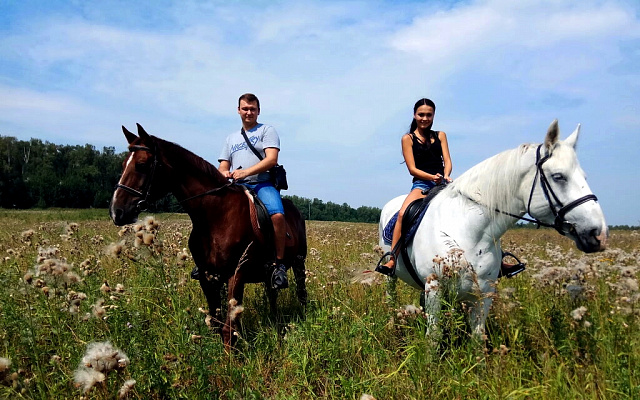 Конная прогулка для двоих во Владивостоке. Подарочные сертификаты Ultra Подарки. Купить оригинальный подарок или подарочный сертификат на Конную прогулка для двоих во Владивостоке. Сервис UltraPodarki.ru 8-800-505-9530. Катание на лошадях, Прогулка на лошади, Прогулка на лошадях для двоих, кони, конный клуб, конный клуб АРГО, конная прогулка, конная прогулка во Владивостоке