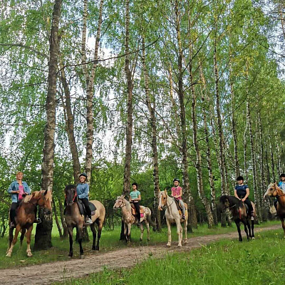 Конная прогулка во Владивостоке. Подарочные сертификаты Ultra Подарки. Купить оригинальный подарок или подарочный сертификат на Конная прогулка во Владивостоке. Сервис UltraPodarki.ru 8-800-505-9530. Катание на лошадях, Прогулка на лошади, Прогулка на лошадях для двоих, Конная прогулка, конный клуб, Конный клуб АРГО, конная прогулка, конная прогулка во Владивостоке