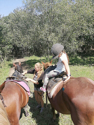 Конная прогулка во Владивостоке. Подарочные сертификаты Ultra Подарки. Купить оригинальный подарок или подарочный сертификат на Конная прогулка во Владивостоке. Сервис UltraPodarki.ru 8-800-505-9530. Катание на лошадях, Прогулка на лошади, Прогулка на лошадях для двоих, Конная прогулка, конный клуб, Конный клуб АРГО, конная прогулка, конная прогулка во Владивостоке