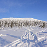 Катание на снегоходах во Владивостоке в подарок. Сервис Ultra Подарки
. Подарочный сертификат на катание на снегоходах во Владивостоке с друзьями. Закажите прокат снегоходов в подарок для мужчины по привлекательным ценам. Живописные маршруты для езды на снегоходах это отличная возможность активного отдыха. Сервис UltraPodarki.ru 8 800 505 95 30. катание на снегоходах, подарочный сертификат на катание на снегоходе, прокат снегоходов, прокат снегоходов Владивосток, катание на снегоходах Владивосток, езда на снегоходе