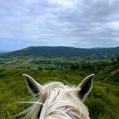 Конная прогулка для двоих во Владивостоке. Подарочные сертификаты Ultra Подарки. Купить оригинальный подарок или подарочный сертификат на Конную прогулка для двоих во Владивостоке. Сервис UltraPodarki.ru 8-800-505-9530. Катание на лошадях, Прогулка на лошади, Прогулка на лошадях для двоих, кони, конный клуб, конный клуб АРГО, конная прогулка, конная прогулка во Владивостоке