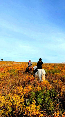 Конная прогулка для двоих во Владивостоке. Подарочные сертификаты Ultra Подарки. Купить оригинальный подарок или подарочный сертификат на Конную прогулка для двоих во Владивостоке. Сервис UltraPodarki.ru 8-800-505-9530. Катание на лошадях, Прогулка на лошади, Прогулка на лошадях для двоих, кони, конный клуб, конный клуб АРГО, конная прогулка, конная прогулка во Владивостоке