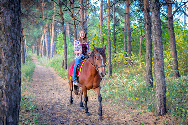 Конная прогулка во Владивостоке. Подарочные сертификаты Ultra Подарки. Купить оригинальный подарок или подарочный сертификат на Конная прогулка во Владивостоке. Сервис UltraPodarki.ru 8-800-505-9530. Катание на лошадях, Прогулка на лошади, Прогулка на лошадях для двоих, Конная прогулка, конный клуб, Конный клуб АРГО, конная прогулка, конная прогулка во Владивостоке