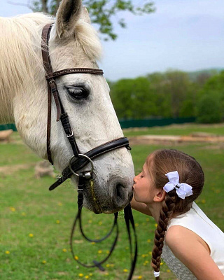 Конная прогулка во Владивостоке. Подарочные сертификаты Ultra Подарки. Купить оригинальный подарок или подарочный сертификат на Конная прогулка во Владивостоке. Сервис UltraPodarki.ru 8-800-505-9530. Катание на лошадях, Прогулка на лошади, Прогулка на лошадях для двоих, Конная прогулка, конный клуб, Конный клуб АРГО, конная прогулка, конная прогулка во Владивостоке