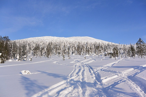 Катание на снегоходах во Владивостоке в подарок. Сервис Ultra Подарки
. Подарочный сертификат на катание на снегоходах во Владивостоке с друзьями. Закажите прокат снегоходов в подарок для мужчины по привлекательным ценам. Живописные маршруты для езды на снегоходах это отличная возможность активного отдыха. Сервис UltraPodarki.ru 8 800 505 95 30. катание на снегоходах, подарочный сертификат на катание на снегоходе, прокат снегоходов, прокат снегоходов Владивосток, катание на снегоходах Владивосток, езда на снегоходе