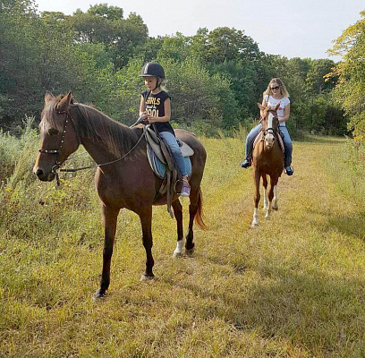 Конная прогулка во Владивостоке. Подарочные сертификаты Ultra Подарки. Купить оригинальный подарок или подарочный сертификат на Конная прогулка во Владивостоке. Сервис UltraPodarki.ru 8-800-505-9530. Катание на лошадях, Прогулка на лошади, Прогулка на лошадях для двоих, Конная прогулка, конный клуб, Конный клуб АРГО, конная прогулка, конная прогулка во Владивостоке