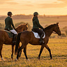Конная прогулка во Владивостоке. Подарочные сертификаты Ultra Подарки. Купить оригинальный подарок или подарочный сертификат на Конная прогулка во Владивостоке. Сервис UltraPodarki.ru 8-800-505-9530. Катание на лошадях, Прогулка на лошади, Прогулка на лошадях для двоих, Конная прогулка, конный клуб, Конный клуб АРГО, конная прогулка, конная прогулка во Владивостоке