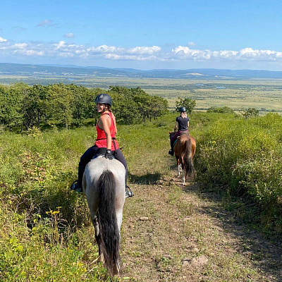 Конная прогулка для двоих во Владивостоке. Подарочные сертификаты Ultra Подарки. Купить оригинальный подарок или подарочный сертификат на Конную прогулка для двоих во Владивостоке. Сервис UltraPodarki.ru 8-800-505-9530. Катание на лошадях, Прогулка на лошади, Прогулка на лошадях для двоих, кони, конный клуб, конный клуб АРГО, конная прогулка, конная прогулка во Владивостоке