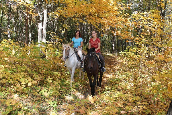 Конная прогулка во Владивостоке. Подарочные сертификаты Ultra Подарки. Купить оригинальный подарок или подарочный сертификат на Конная прогулка во Владивостоке. Сервис UltraPodarki.ru 8-800-505-9530. Катание на лошадях, Прогулка на лошади, Прогулка на лошадях для двоих, Конная прогулка, конный клуб, Конный клуб АРГО, конная прогулка, конная прогулка во Владивостоке
