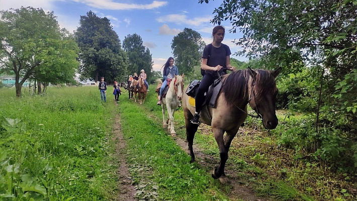 Конная прогулка во Владивостоке. Подарочные сертификаты Ultra Подарки. Купить оригинальный подарок или подарочный сертификат на Конная прогулка во Владивостоке. Сервис UltraPodarki.ru 8-800-505-9530. Катание на лошадях, Прогулка на лошади, Прогулка на лошадях для двоих, Конная прогулка, конный клуб, Конный клуб АРГО, конная прогулка, конная прогулка во Владивостоке