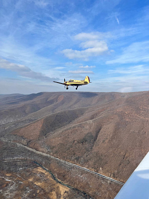 Полет на самолете во Владивостоке. Ultra Подарки. Купить полёт на самолёте во Владивостоке. Испытайте невероятные ощущения от прогулки на самолёте или порадуйте своих близких подарив сертификат на полет в подарок. Сервис UltraPodarki.ru 8 800 505 95 30. полёт на самолёте, сертификат на полёт, цены самолёт, полёт в подарок, реальный полёт, реальный полёт на самолёте, купить полёт Владивосток, полёт на самолёте Владивосток, сертификат на полёт Владивосток, цены полёт Владивосток