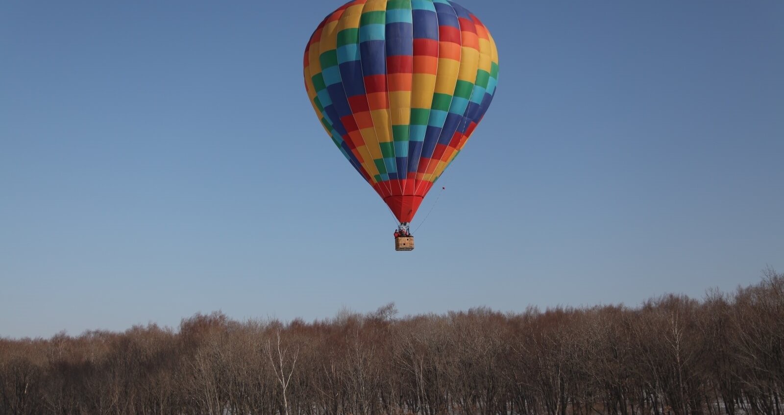 Полёт на воздушном шаре над лесом
